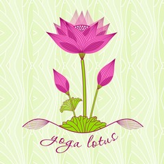 bright pink lotus flower with buds on a light background