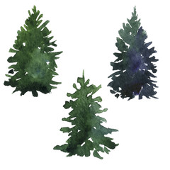 set of fir trees