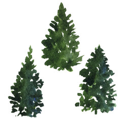 set of fir trees