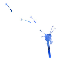 Flying dandelion seeds