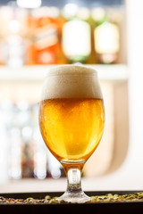 beer in the bar