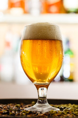 beer in the bar