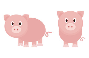 funny pig set