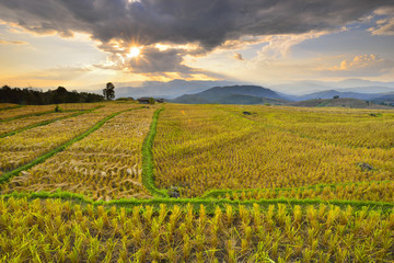 The beautiful sunset at Terraced Paddy Field in Mae-Jam Village , Chaingmai Province