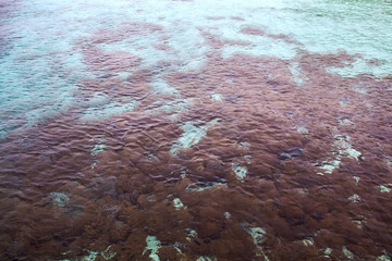 background of clear seawater in a tropic