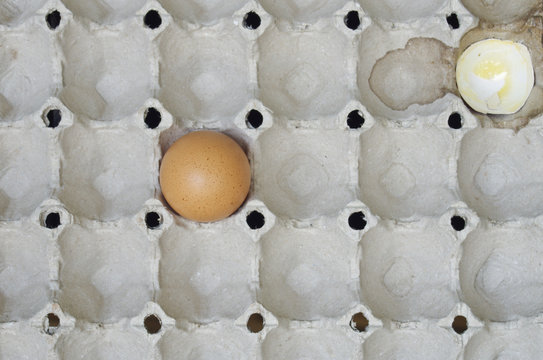 last egg in market