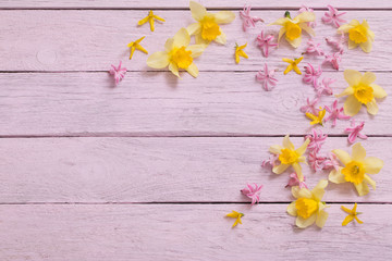 pink flowers on pink wooden background
