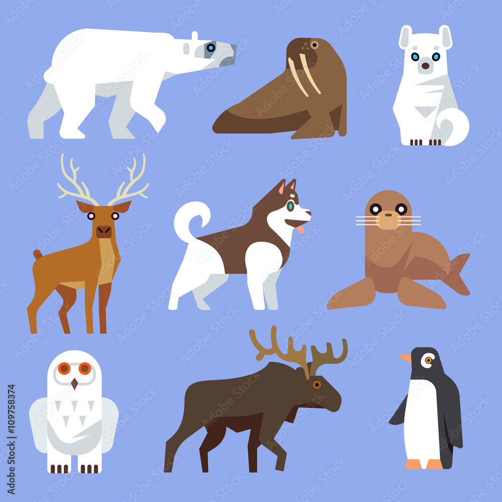 Sticker north arctic and antarctic animals and birds. vector flat collection. winter wild animal, polar anim