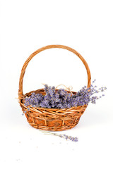 Fototapeta na wymiar Basket with dry lavender flowers isolated on white