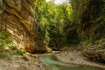 Canyon in the jungle of Abkhazia