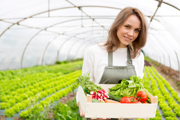 Young attractive woman collecting vegetable in a greenhouse