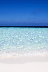 tropical beach white sand