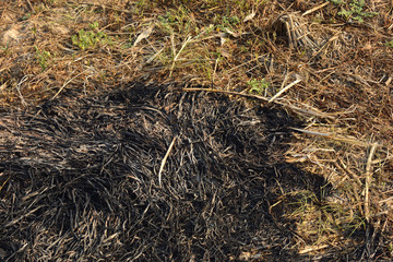 Farmland of fire 