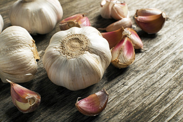 Garlic