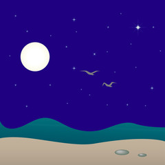 Fototapeta na wymiar Night seascape, vector illustration