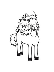 beautiful horse pony stallion riding white comic cartoon