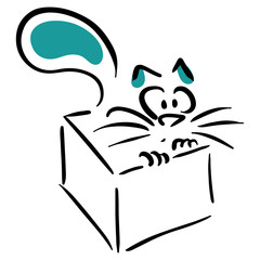 Cat sitting in the box