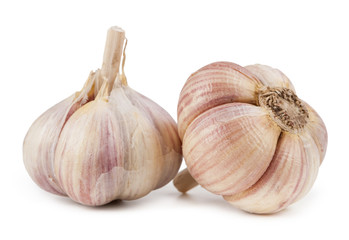 Fresh garlic isolated on white background