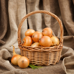 The beautiful and ripe onions in a basket on the table