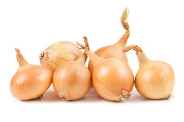 Onion on white background