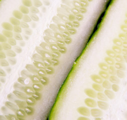 Cucumber background