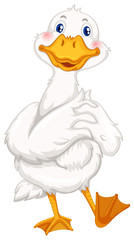 Little duck with white feather