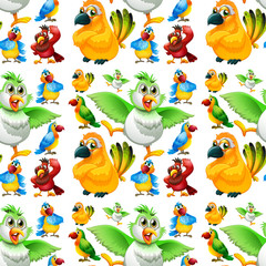 Obraz premium Seamless parrots with different color feathers