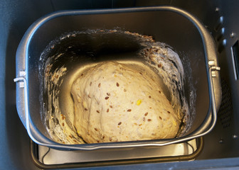 The dough in the bread maker