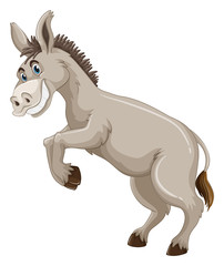 Donkey with silly face