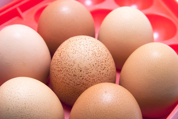 Seven eggs in a red plastic container