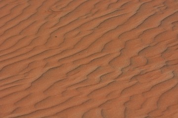 Fototapeta na wymiar Sandrippeln der Dünenlandschaft im Namib-Naukluft-Nationalpark