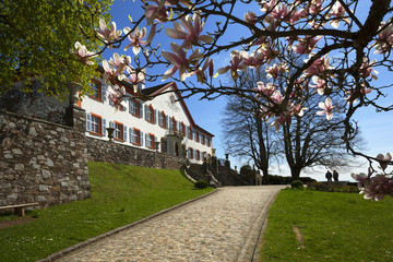 Fototapeta na wymiar Schloss Bürgeln bei Schliengen im Markgräflerland