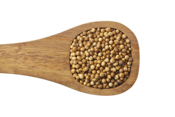 dried chick peas on spatula