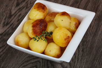 Golden backed potato