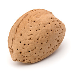 Almond nut in shell isolated on white background close up