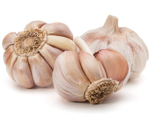 Garlic bulb isolated on white background cutout