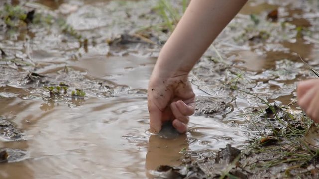 A little girl taking a rock from a mud pond. Close-up detail shot of the hands.