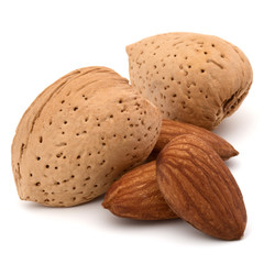 Almond nut in shell and shelled isolated on white background clo