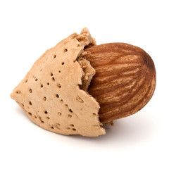 Almond nut in shell and shelled isolated on white background clo