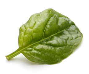 Fototapeta premium Baby spinach leaves isolated on white background cutout
