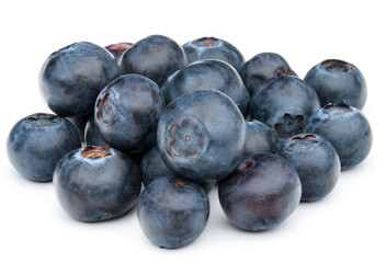 blueberry or bilberry or blackberry or blue whortleberry or huck