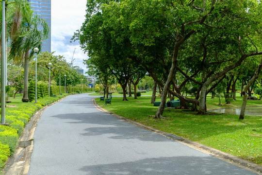 Green nature on public park