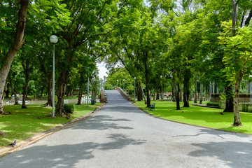 Green nature on public park