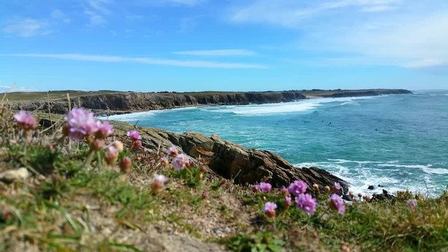 View of the cliff of Cote sauvage Bretagne France