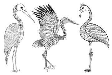 Zentangle Hand drawn Stork, Flamingo, Brolga for adult antistres