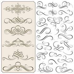 Calligraphic Flourishes And Scroll Elements