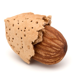 Almond nut in shell and shelled isolated on white background clo