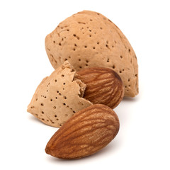Almond nut in shell and shelled isolated on white background clo