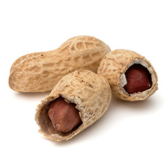 Opened and whole peanut or groundnut pod isolated on white backg