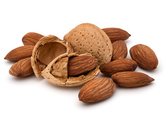 Almond nut in shell and shelled isolated on white background clo